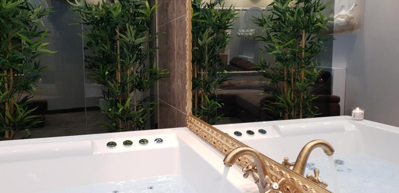 Central Business Apartments Jacuzzi Belgrade Luaran gambar